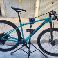 Bianchi Methanol CV  Carbonio