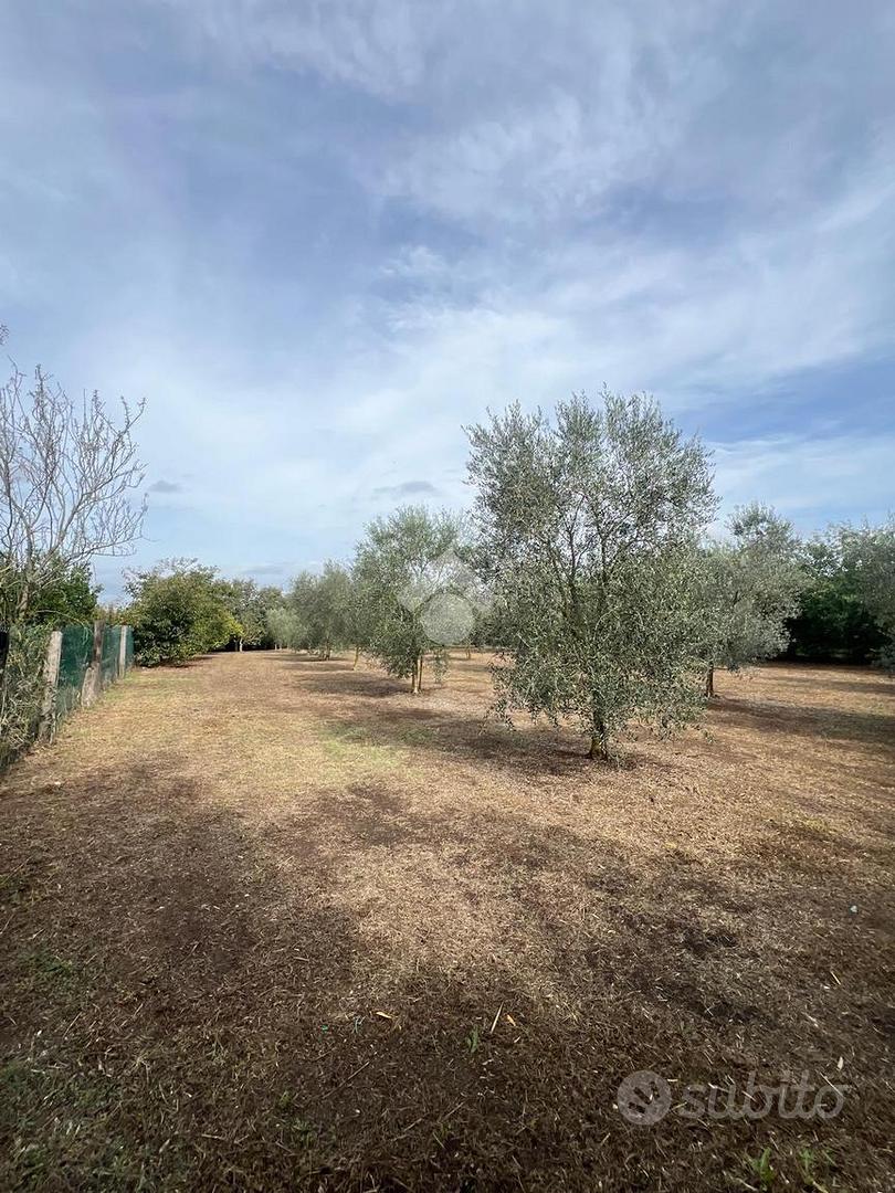 RUSTICO A CORCHIANO - Altro