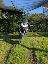 Ducati Multistrada 950