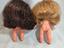 Immagine 6