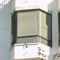 Veneziane con un anno di vita 