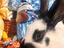 Immagine 3
