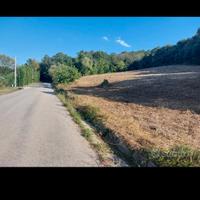 Nei pressi della Cattolica