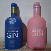 Bottiglie collezione gin