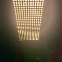 Lampada