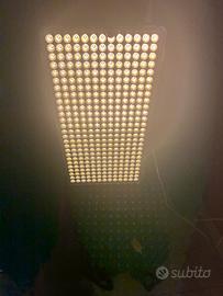 Lampada