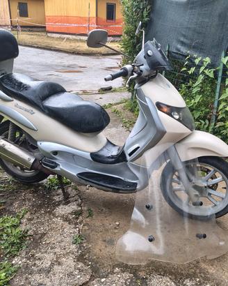 Beverly 250