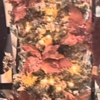 Alberi di Natale slim innevato