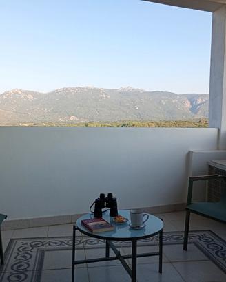 Limbara house