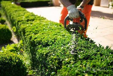 Lavori di giardinaggio