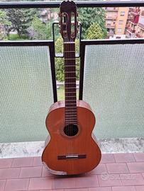 Chitarra Polverini Clarissa 