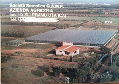 Terreno agricolo con serre