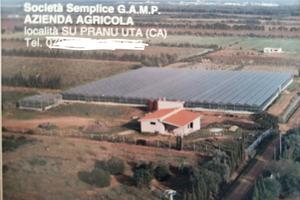Terreno agricolo con serre