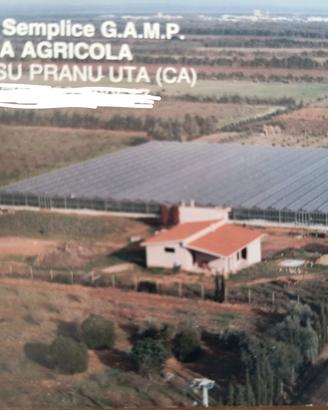 Terreno agricolo con serre