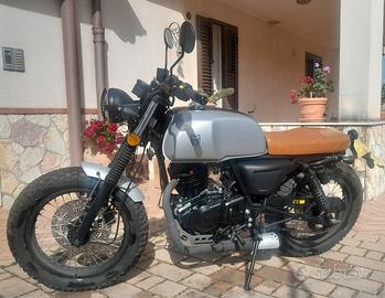 suzuki  250 scrambler mutt akita