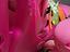 Immagine 3