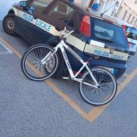 whellie bike ( se bike)