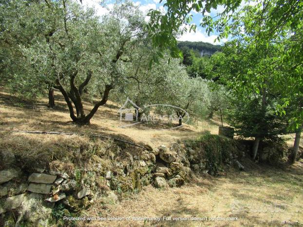 Terreno edificabile e agricolo a San Savino