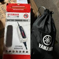 Manutentore batteria