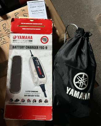 Manutentore batteria