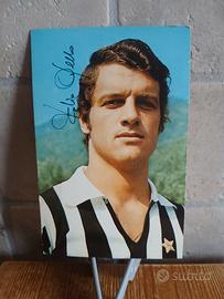 Foto Cartolina Autografata da Fabio Capello - 1970