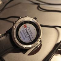Garmin Fēnix 3