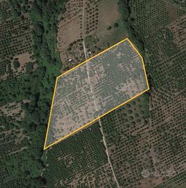 Terreno a un' ora da Roma