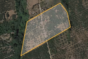 Terreno a un' ora da Roma