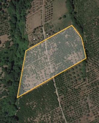 Terreno a un' ora da Roma