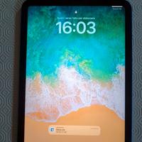 iPad 10 generazione 256 gb bundle