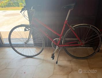 Bicicletta paletti