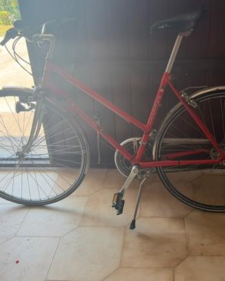 Bicicletta paletti