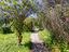 Immagine 19