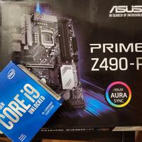 SK Madre Asus Z490P + Processore Intel 10900KF