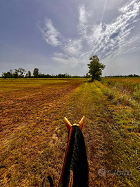 Passeggiate a cavallo