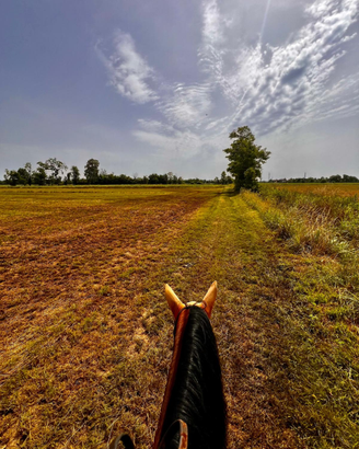 Passeggiate a cavallo