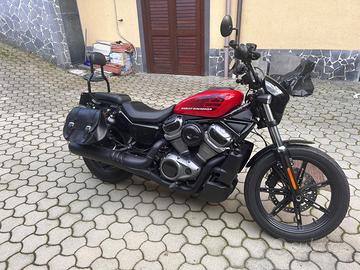 Harley-Davidson Nightster 975 custom