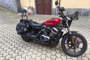 Harley-Davidson Nightster 975 custom