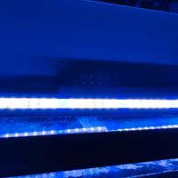 lampada led per acquario marino 