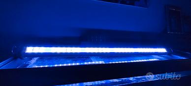 lampada led per acquario marino 