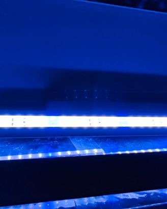 lampada led per acquario marino 