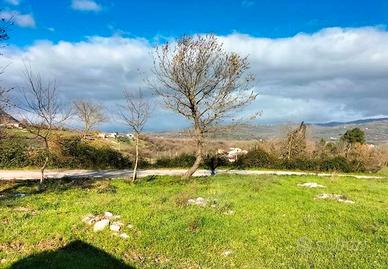 R.G.E. 137/2023 Salerno