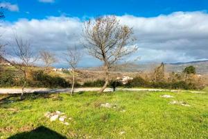 R.G.E. 137/2023 Salerno