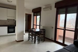 Mono arredato zona sesso