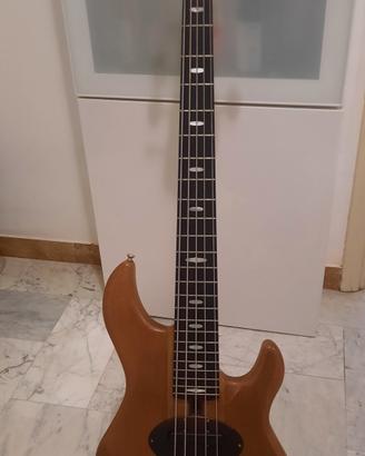 Basso 5 corde liuteria (attivo/passivo)