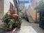 Immagine 10