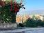 Immagine 12