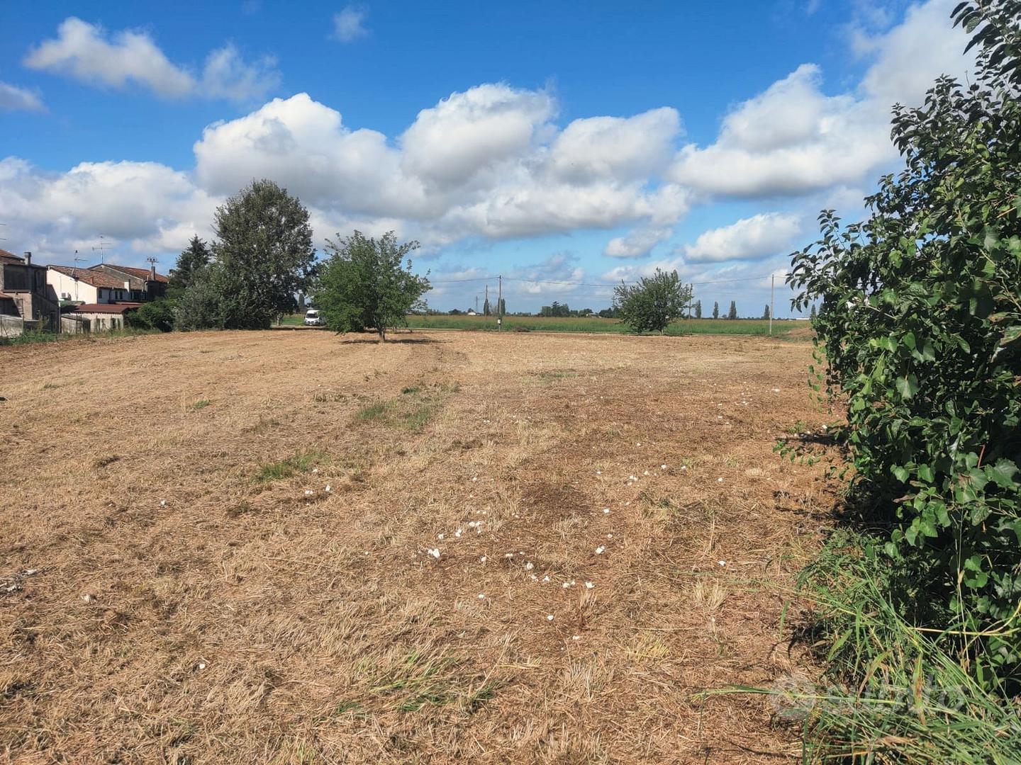 Terreno agricolo incolto - Vista 4