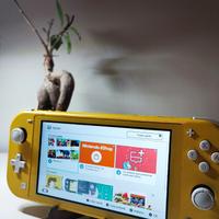 Nintendo Switch Lite Gialla + caricatore