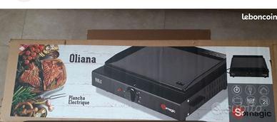 Piastra elettrica per barbecue e friggitrice